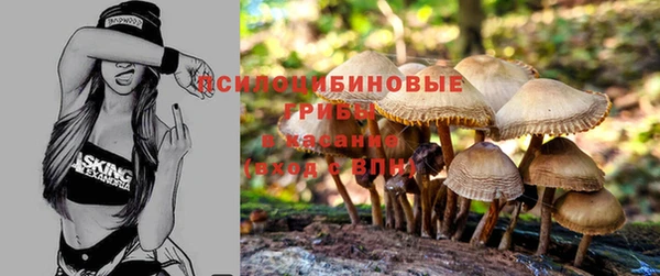 spice Балахна