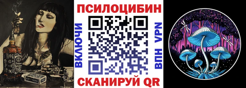 Псилоцибиновые грибы Psilocybine cubensis  Солигалич 